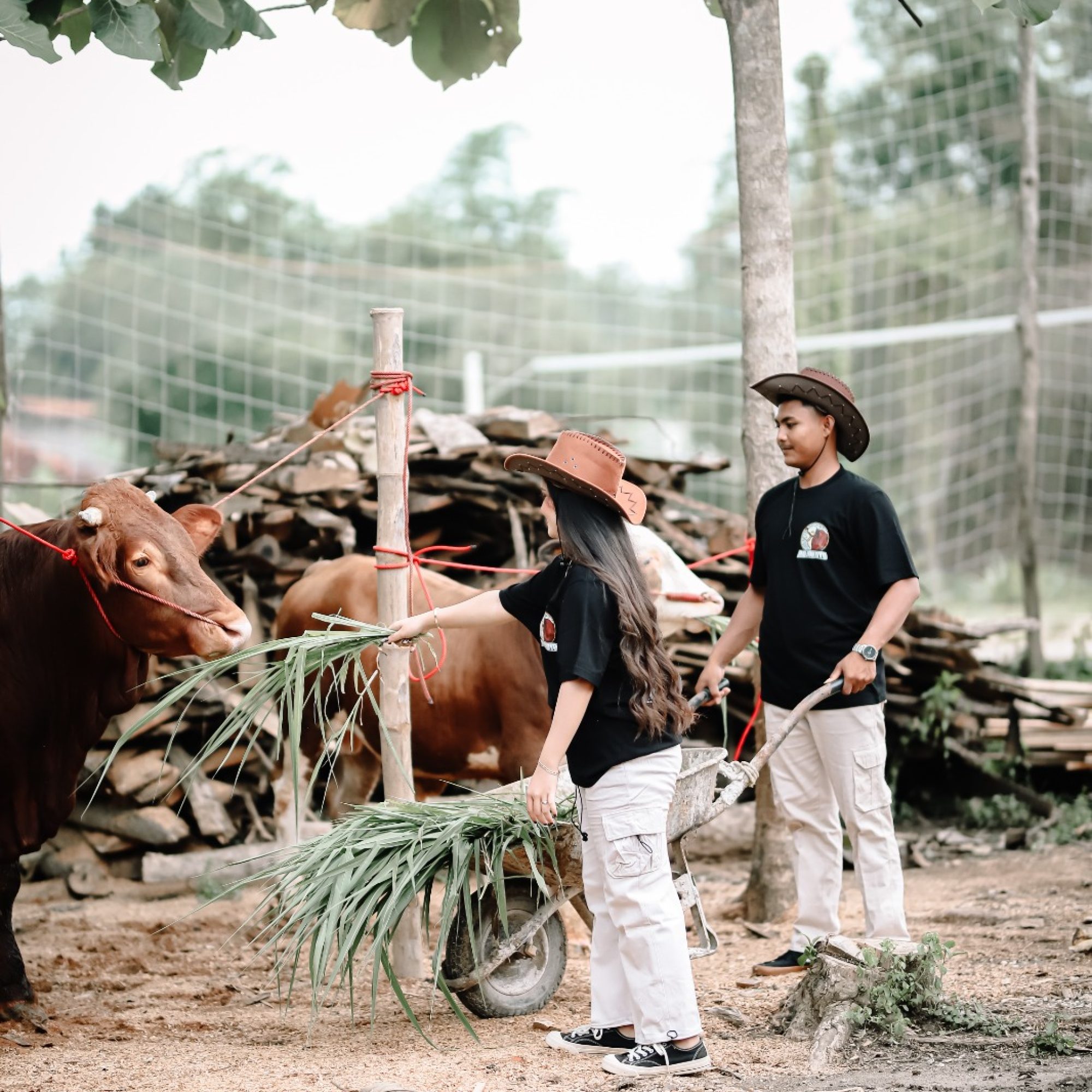 WhatsApp Image 2025-12-02 at 08.02.40